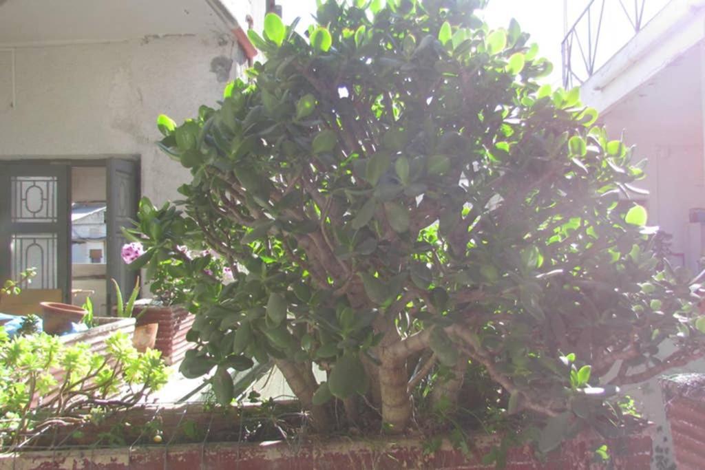 Appartamento Cagliari Bagian luar foto